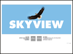 Skyview